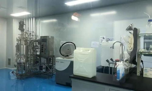 全市觀摩聚焦高新，兩大計算機技術(shù)開發(fā)項目亮點紛呈